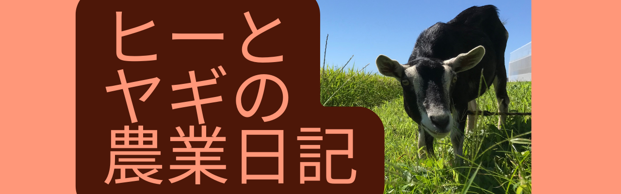 ヒーとヤギの農業日記